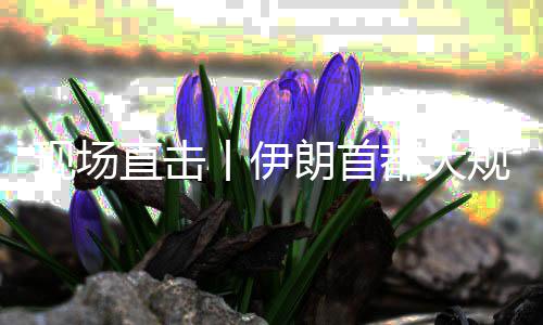 丨伊规模国家团结直击展示现场都大集会朗首