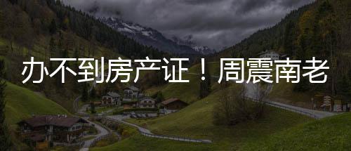 办不缺陷周震南再曝小区开发到房产证父亲老赖
