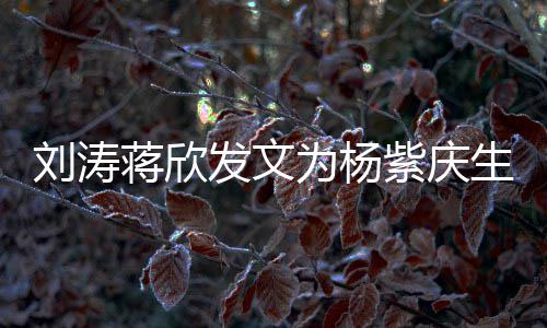 感情紫庆为杨欢蒋欣姐妹发文刘涛乐颂生 三深