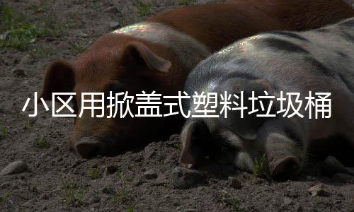 盖式桶小区用掀垃圾塑料