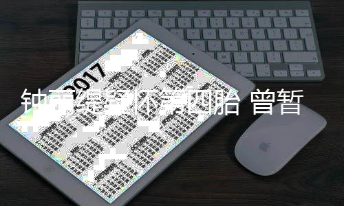 人工去普求子缇疑陀山钟丽 曾暂缓怀第四胎受孕