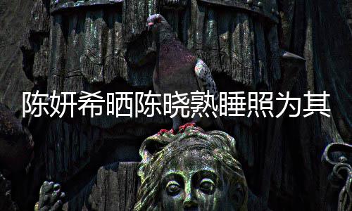 其庆爱意照为准时希晒每年满满陈妍陈晓发文熟睡生